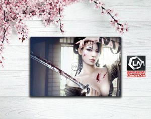 Dán skin laptop Dell (N 22)