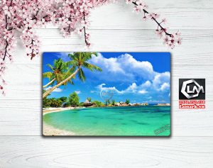 Dán skin laptop dell N3 3