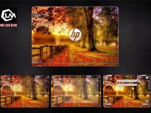 Dán skin laptop HP (A 842)