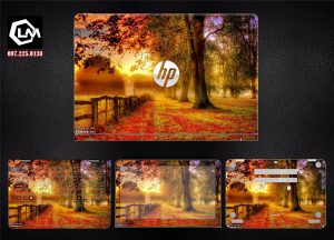 Dán skin laptop HP (A 842)