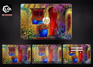 Dán skin laptop HP (A 927)