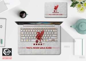 Dán skin laptop Asus ( 14 )