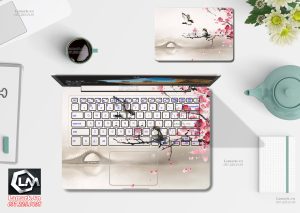 Dán skin laptop Asus ( 81 )