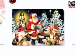 Dán skin macbook LN38