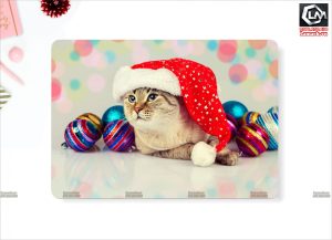 Dán skin macbook LN14