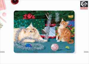 Dán skin macbook LN49