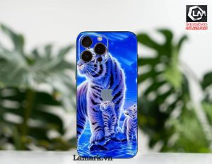 Dán skin điện thoại iphone D13