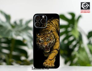 Dán skin điện thoại iphone D20