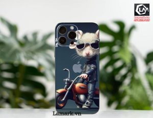 Dán skin điện thoại iphone D6