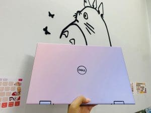 Dán Skin Laptop Dell Inspiron 5410 p147
