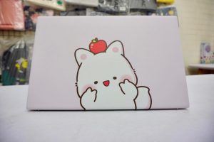 Dán Skin Laptop Asus A512f